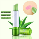 Kit de Batons de Aloe Vera Perfeitos para Arrasar! Pague 1 e Leve 3